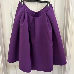 Purple A-Line skirt.  Cute and flirty for all seasons.  Never worn!